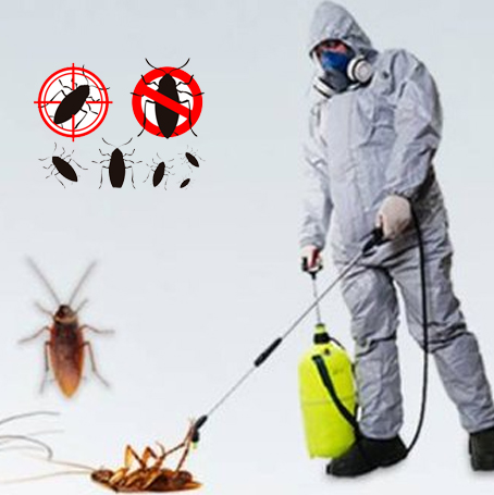 افضل شركه مكافحه حشرات بالرياض