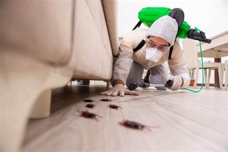 شركه رش مبيدات بالرياض