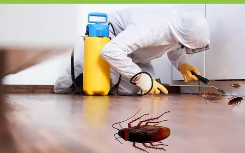 افضل شركه مكافحه حشرات بالرياض