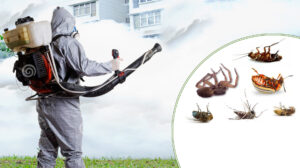 مؤسسه العلاء لمكافحه الحشرات بالرياض