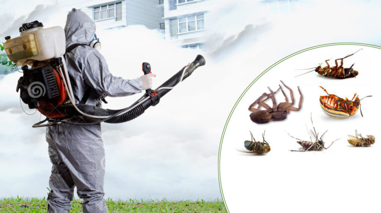 مؤسسه العلاء لمكافحه الحشرات بالرياض