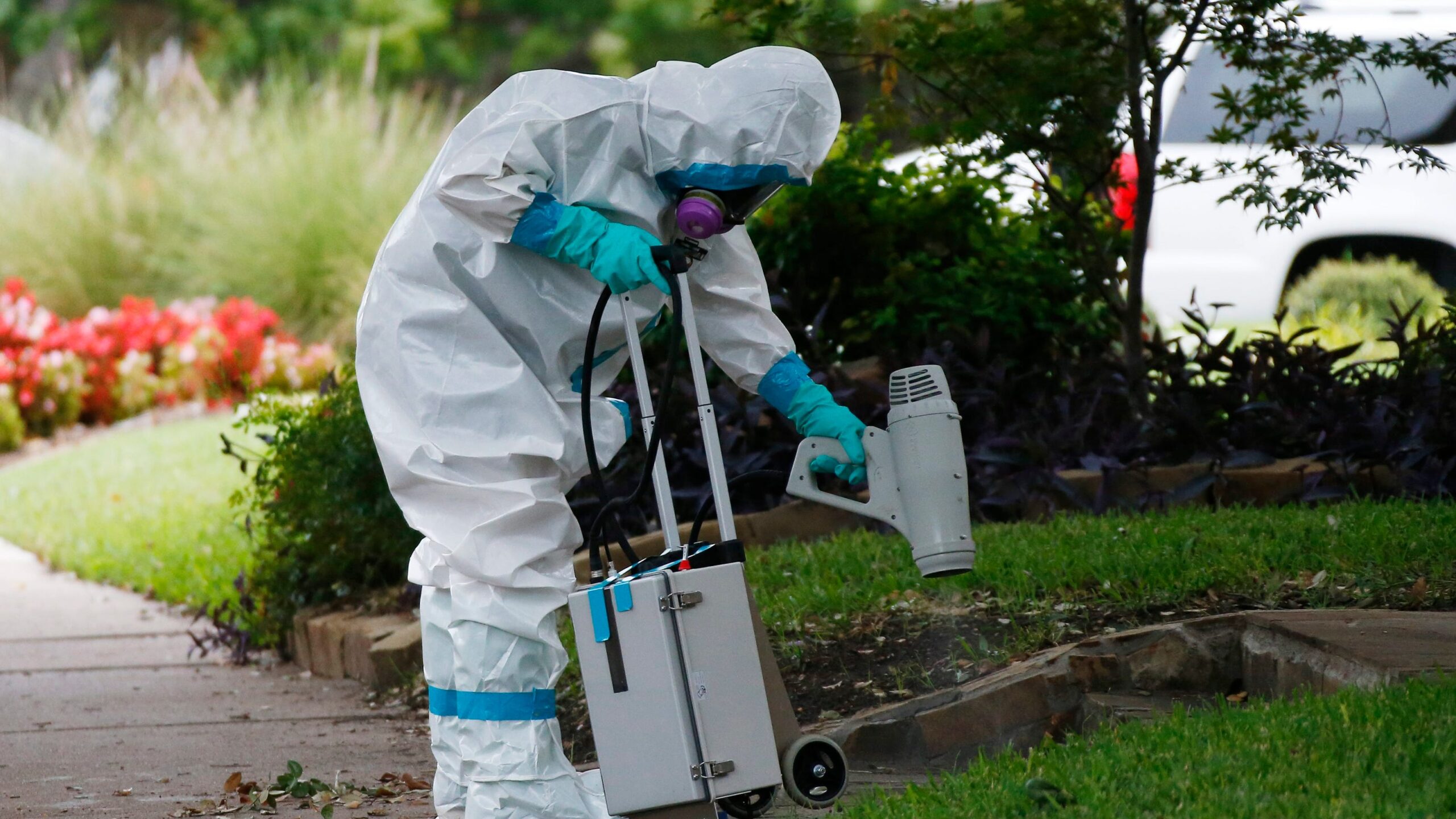 مكافحه حشرات شرق الرياض